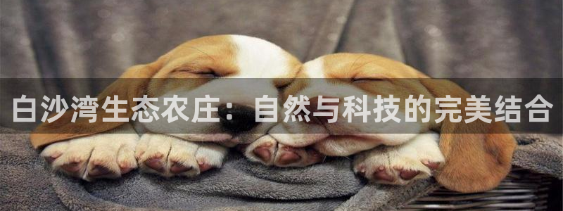 Pg电子游戏作弊