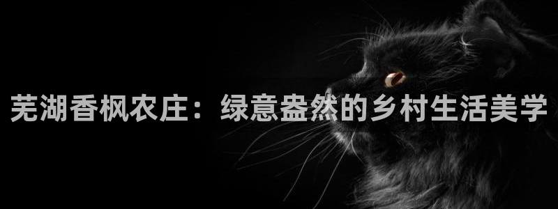 试玩pg电子平台
