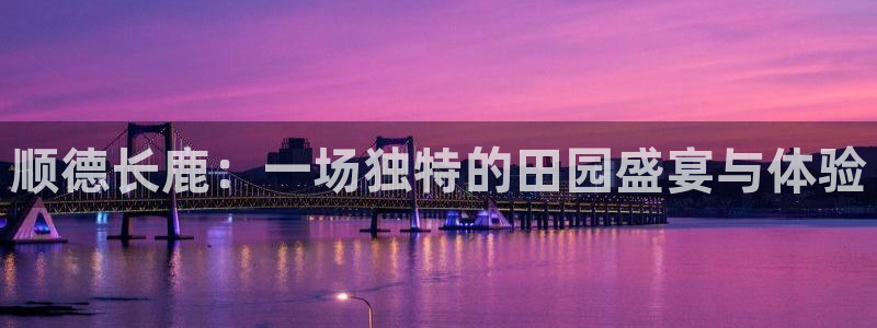 电子pg游戏网址