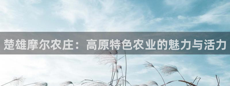 pg电子招财猫试玩