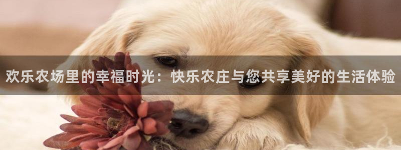 免费pg电子游戏下载
