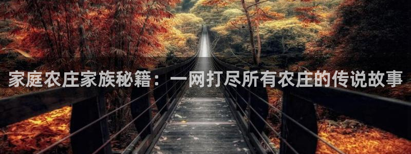 凤凰传奇pg电子