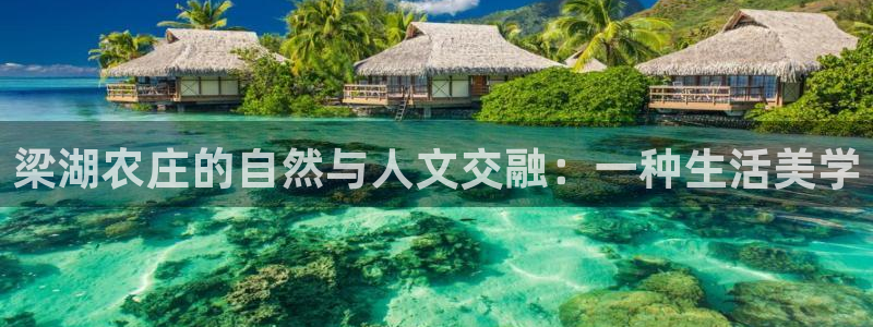 pg电子正规平台