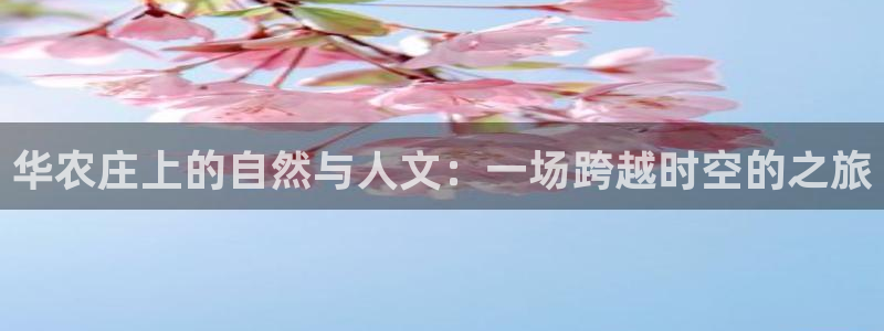 pg电子游戏机制
