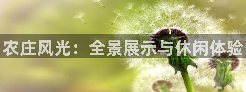 pg电子免费游戏视频
