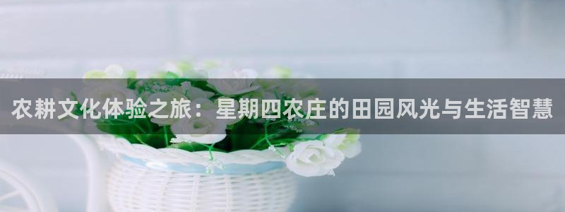 玩pg电子有赢大钱的吗