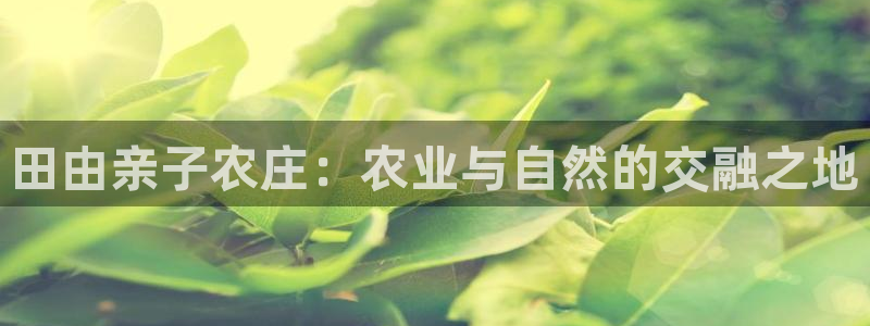 pg电子玩什么