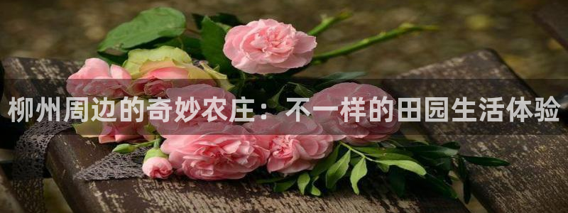 十年安全老品牌pg电子