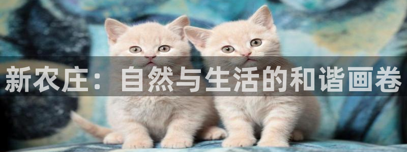 pg电子免费游戏视屏