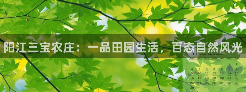 pg电子试玩网站