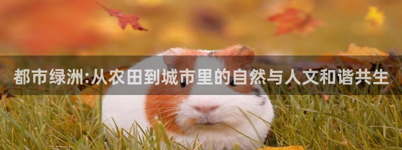 pg电子免费单机游戏