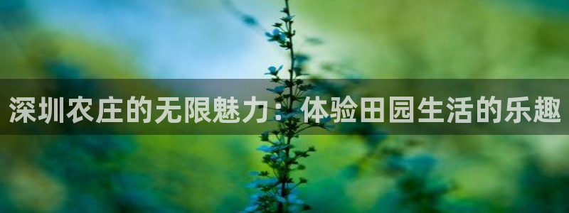 pg电子官方网