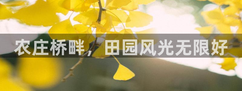 pg电子水果派对