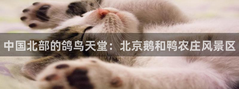 电子pg爆分视频