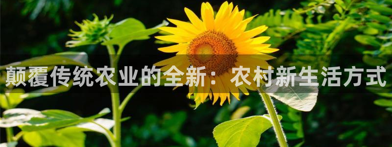 pg电子官方首页311