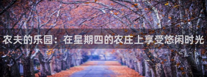 老外玩pg电子