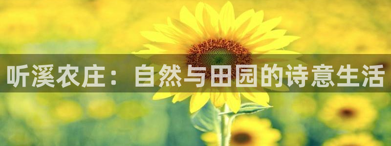 pg电子游戏网站试玩