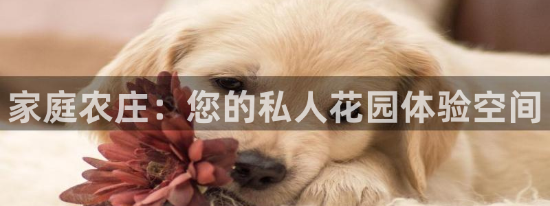 pg电子哪个游戏出分