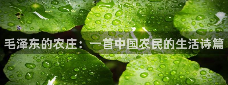 pg电子官方入口体育