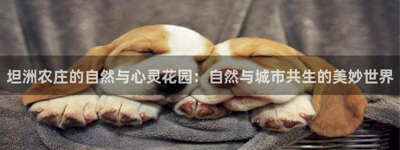 pg电子试玩app