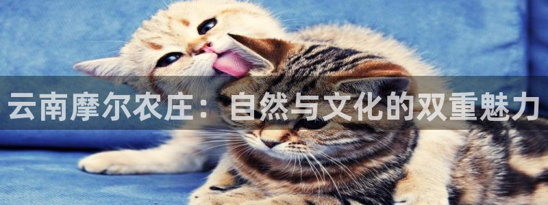 pg电子免费游戏视屏