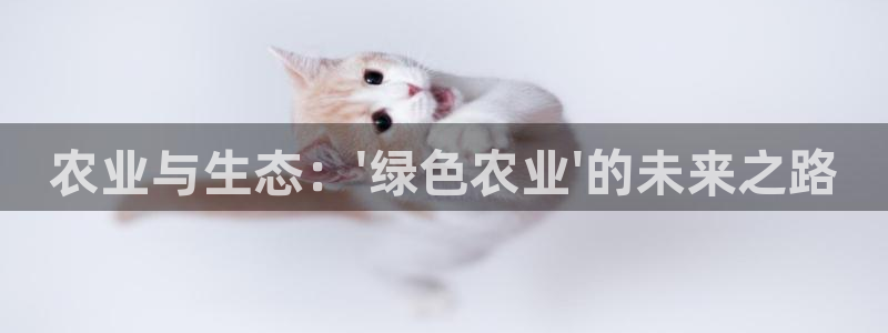 能赢钱的pg电子游戏