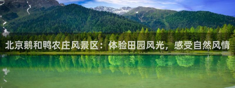 pg电子游戏爆分锦集