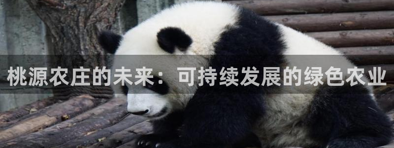 PG电子是不是假的