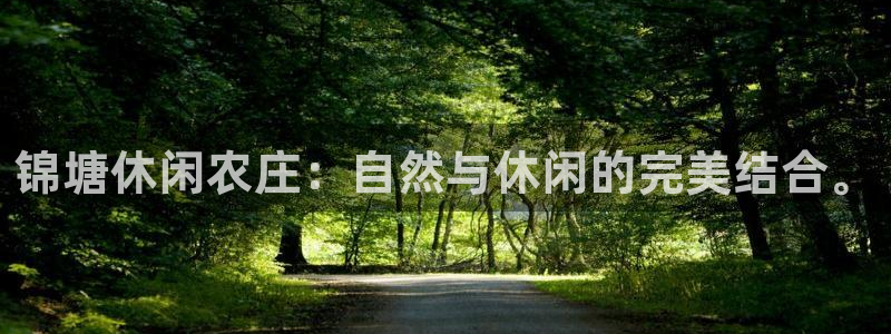 pg电子模拟器