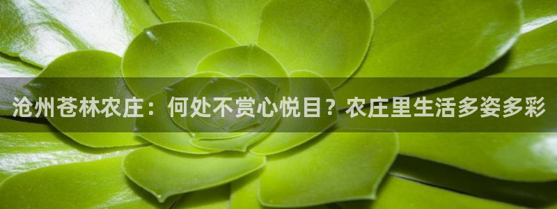 万人在线PG电子