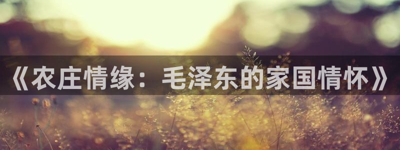 PG电子麻将胡了漏洞