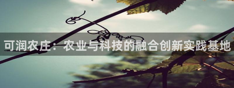 pg电子美杜莎爆分