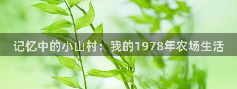 pg电子艳后之谜视频