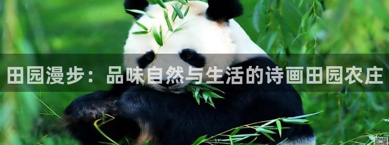 PG电子赏金女王玩法