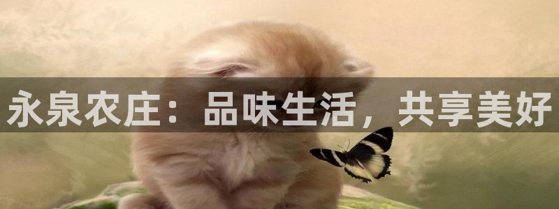 PG电子在线试玩官网