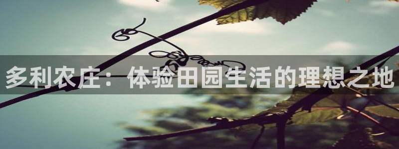 电子PG游戏