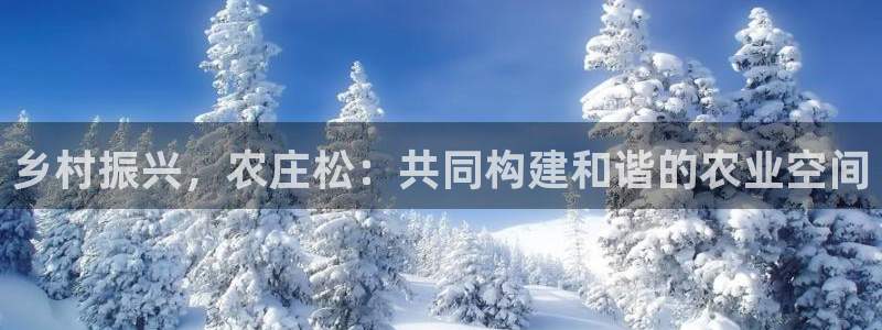 pg电子什么时候最容易爆大奖