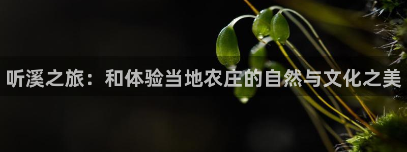 pg电子游戏哪个爆分