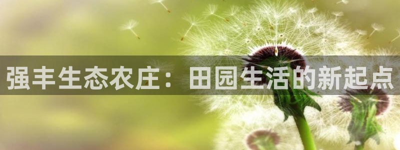 pg电子游戏哪里玩好爆