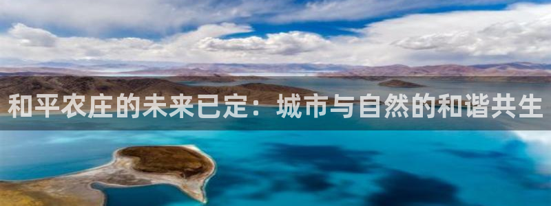 pg电子app全能版