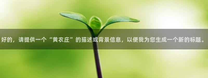 pg电子白天玩还是晚上