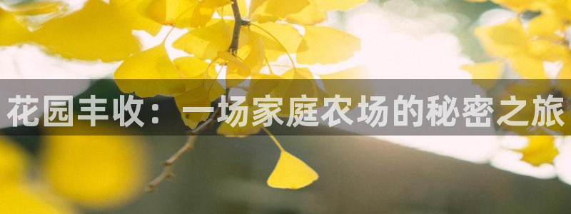 PG电子游戏坑人