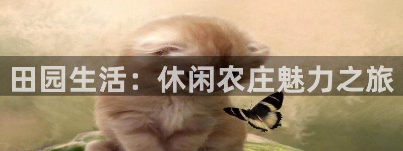 pg电子麻将胡了太坑