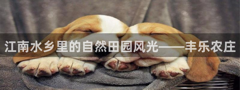 电子游戏PG新国碎