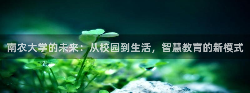 电子pg游戏怎么玩