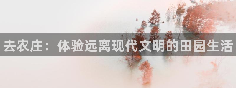 PG电子爱尔兰精灵免费