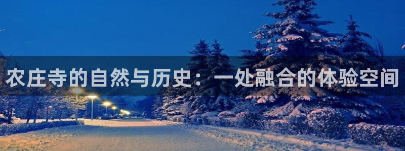 pg电子官方网址