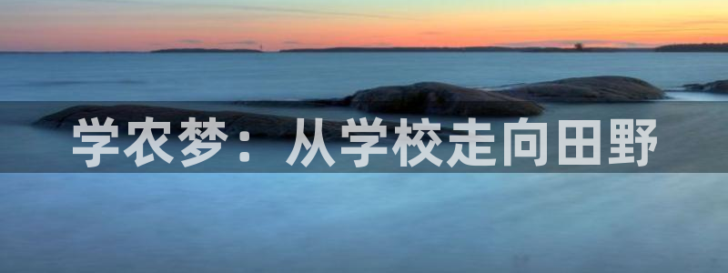 电子pg赏金女王