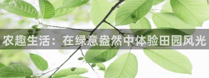 PG电子平台网址是多少