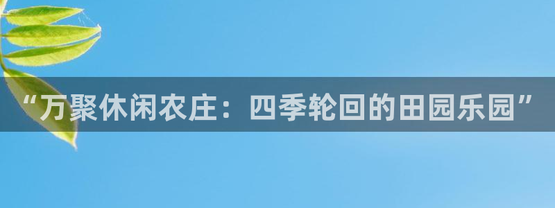 pg电子嘉年华暴分视频